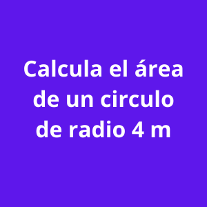 circulo 5