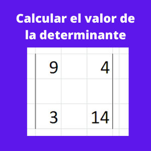 determinante de una matriz