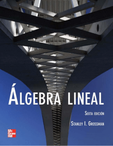 libro algebra lineal